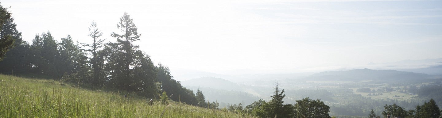 Hillside